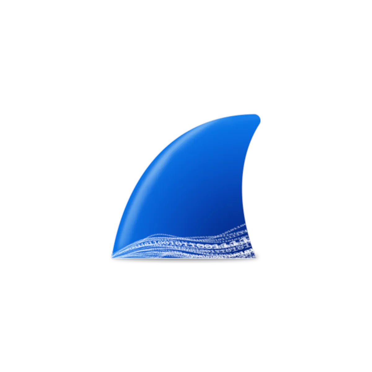 Wireshark